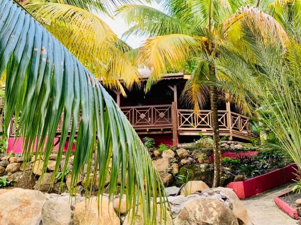 L'Ilot Palmiers Hotell Pointe-Noire Exteriör bild